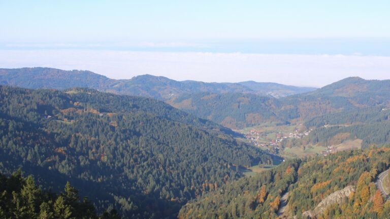 Dieses Bild zeigt eine Webcam-Aufnahme vom Achertal, aufgenommen am Donnerstag, den 16.10.2025 um 10:00 Uhr. Die Temperatur betrug 6.6°C.