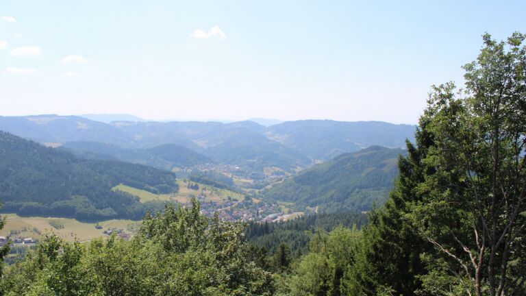 Dieses Bild zeigt eine Webcam-Aufnahme vom Achertal, aufgenommen am Mittwoch, den 29.07.2026 um 14:10 Uhr. Die Temperatur betrug 33.4°C.