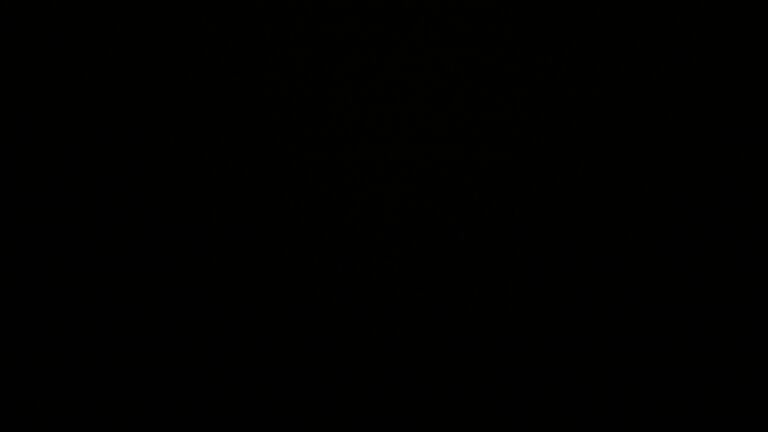 Dieses Bild zeigt eine Webcam-Aufnahme vom Achertal, aufgenommen am Donnerstag, den 21.08.2025 um 03:30 Uhr. Die Temperatur betrug 12.9°C.