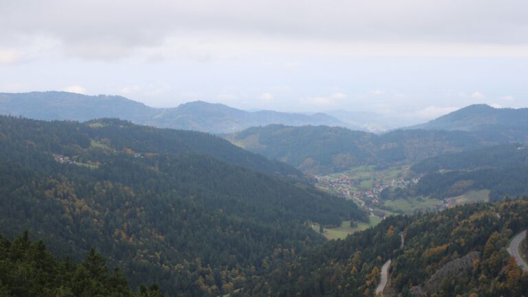 Dieses Bild zeigt eine Webcam-Aufnahme vom Achertal, aufgenommen am Freitag, den 10.10.2025 um 11:50 Uhr. Die Temperatur betrug 8.8°C.