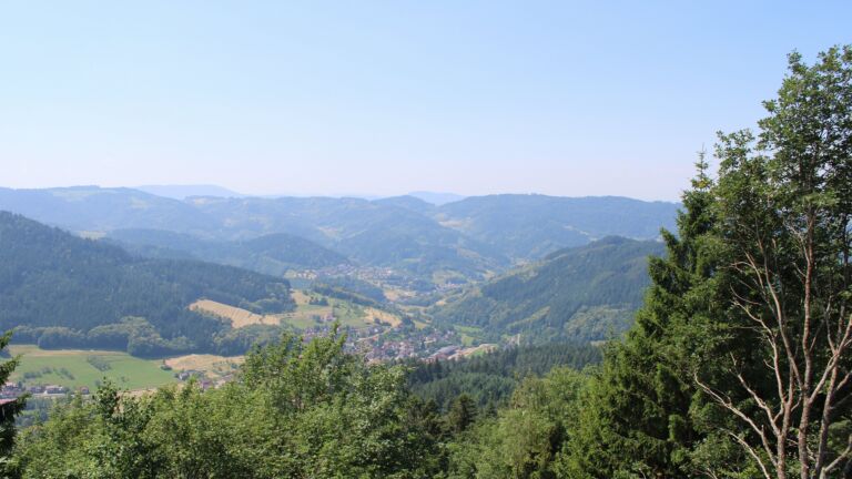 Dieses Bild zeigt eine Webcam-Aufnahme vom Achertal, aufgenommen am Montag, den 22.06.2026 um 12:30 Uhr. Die Temperatur betrug 29.2°C.