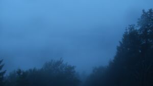 Dieses Bild zeigt eine Webcam-Aufnahme vom Achertal, aufgenommen am Mittwoch, den 01.07.2026 um 04:50 Uhr. Die Temperatur betrug 17.5°C.