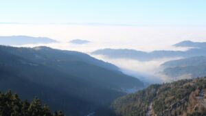 Dieses Bild zeigt eine Webcam-Aufnahme vom Achertal, aufgenommen am Montag, den 29.12.2025 um 14:20 Uhr. Die Temperatur betrug 4.2°C.