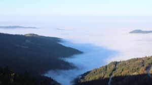 Dieses Bild zeigt eine Webcam-Aufnahme vom Achertal, aufgenommen am Samstag, den 13.12.2025 um 09:50 Uhr. Die Temperatur betrug 9.2°C.