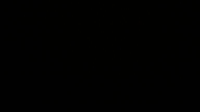 Dieses Bild zeigt eine Webcam-Aufnahme vom Achertal, aufgenommen am Freitag, den 29.08.2025 um 03:00 Uhr. Die Temperatur betrug 9.3°C.