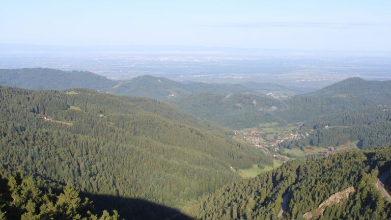 Dieses Bild zeigt eine Webcam-Aufnahme vom Achertal, aufgenommen am Freitag, den 29.08.2025 um 08:20 Uhr. Die Temperatur betrug 11.6°C.