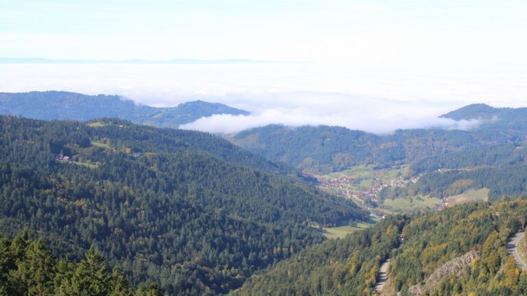 Dieses Bild zeigt eine Webcam-Aufnahme vom Achertal, aufgenommen am Mittwoch, den 08.10.2025 um 12:10 Uhr. Die Temperatur betrug 19.2°C.