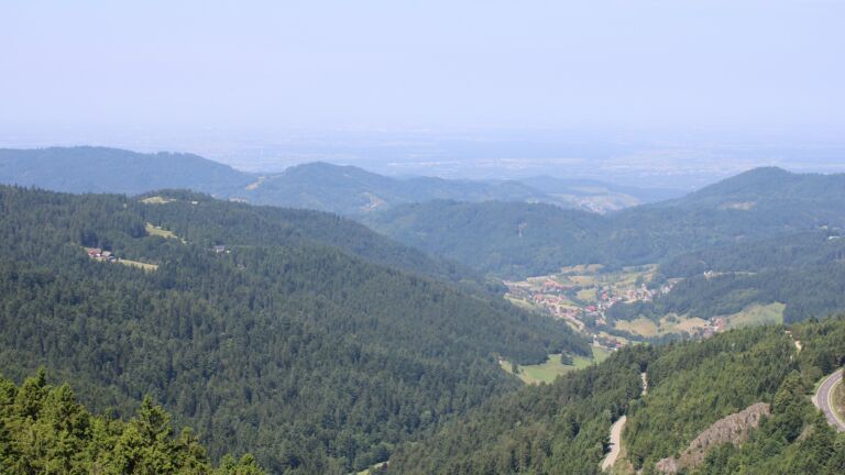 Dieses Bild zeigt eine Webcam-Aufnahme vom Achertal, aufgenommen am Donnerstag, den 12.06.2025 um 11:40 Uhr. Die Temperatur betrug 20°C.
