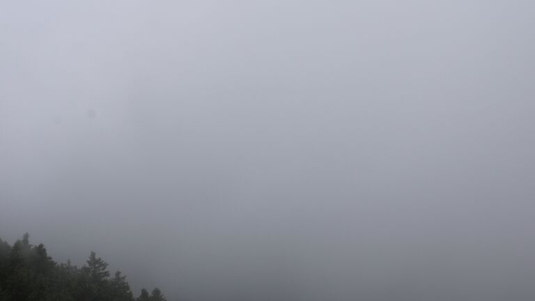 Dieses Bild zeigt eine Webcam-Aufnahme vom Achertal, aufgenommen am Donnerstag, den 05.06.2025 um 13:50 Uhr. Die Temperatur betrug 11.2°C.