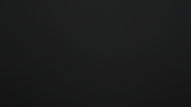 Dieses Bild zeigt eine Webcam-Aufnahme vom Achertal, aufgenommen am Freitag, den 02.01.2026 um 03:30 Uhr. Die Temperatur betrug -4.9°C.