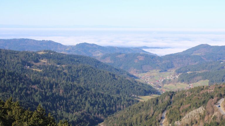 Dieses Bild zeigt eine Webcam-Aufnahme vom Achertal, aufgenommen am Donnerstag, den 26.02.2026 um 10:40 Uhr. Die Temperatur betrug 12.2°C.