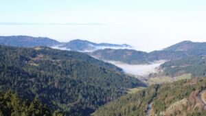 Dieses Bild zeigt eine Webcam-Aufnahme vom Achertal, aufgenommen am Mittwoch, den 25.02.2026 um 10:20 Uhr. Die Temperatur betrug 10.3°C.