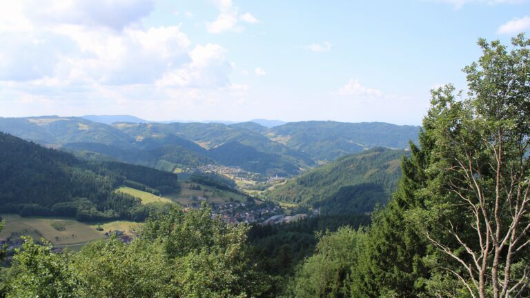 Dieses Bild zeigt eine Webcam-Aufnahme vom Achertal, aufgenommen am Mittwoch, den 05.08.2026 um 12:40 Uhr. Die Temperatur betrug 27.8°C.