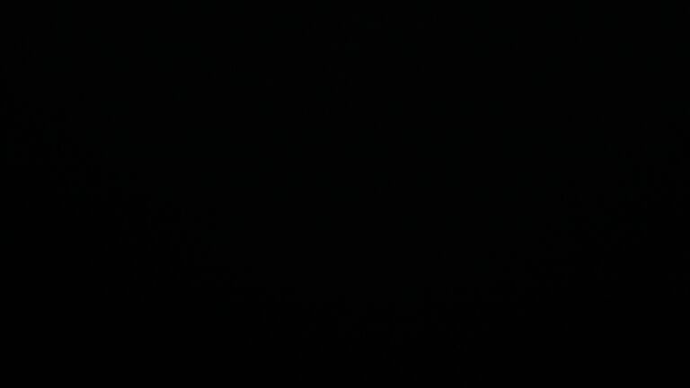 Dieses Bild zeigt eine Webcam-Aufnahme vom Achertal, aufgenommen am Sonntag, den 06.07.2025 um 23:50 Uhr. Die Temperatur betrug 9.2°C.