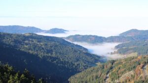 Dieses Bild zeigt eine Webcam-Aufnahme vom Achertal, aufgenommen am Samstag, den 08.11.2025 um 10:20 Uhr. Die Temperatur betrug 13.8°C.