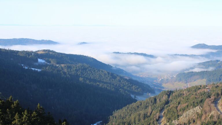 Dieses Bild zeigt eine Webcam-Aufnahme vom Achertal, aufgenommen am Montag, den 19.01.2026 um 11:00 Uhr. Die Temperatur betrug 8.2°C.