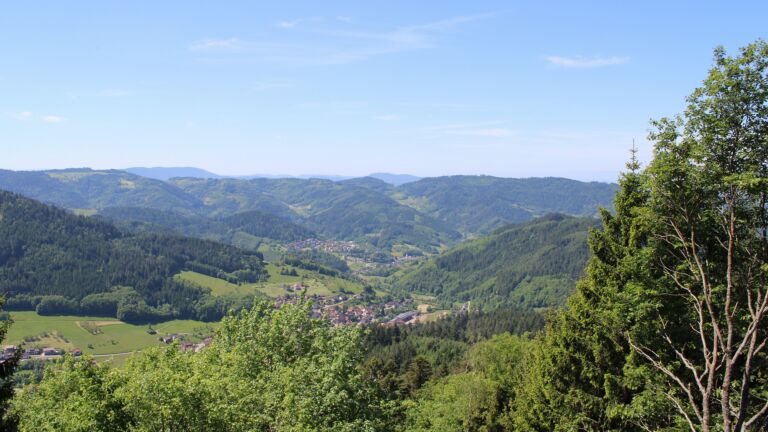 Dieses Bild zeigt eine Webcam-Aufnahme vom Achertal, aufgenommen am Freitag, den 22.05.2026 um 12:00 Uhr. Die Temperatur betrug 21.8°C.