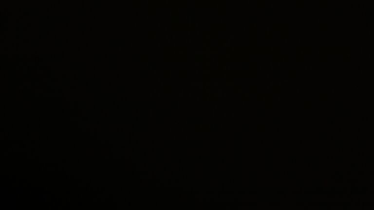 Dieses Bild zeigt eine Webcam-Aufnahme vom Achertal, aufgenommen am Donnerstag, den 20.11.2025 um 02:30 Uhr. Die Temperatur betrug -2.3°C.