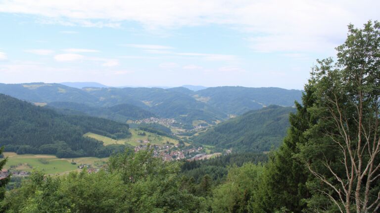 Dieses Bild zeigt eine Webcam-Aufnahme vom Achertal, aufgenommen am Mittwoch, den 08.07.2026 um 11:10 Uhr. Die Temperatur betrug 22.3°C.