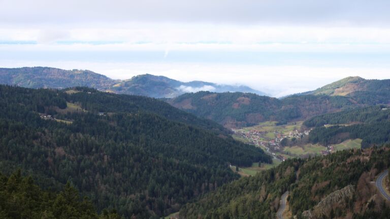 Dieses Bild zeigt eine Webcam-Aufnahme vom Achertal, aufgenommen am Donnerstag, den 04.12.2025 um 11:00 Uhr. Die Temperatur betrug 2.4°C.