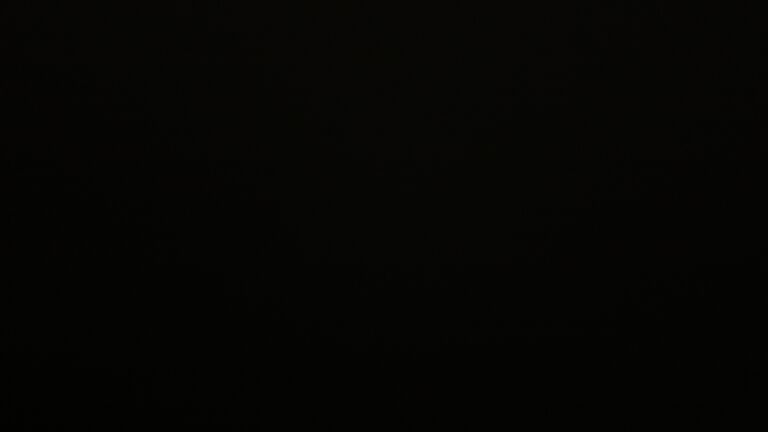 Dieses Bild zeigt eine Webcam-Aufnahme vom Achertal, aufgenommen am Montag, den 23.02.2026 um 22:30 Uhr. Die Temperatur betrug 4.2°C.