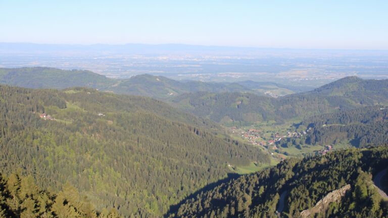 Dieses Bild zeigt eine Webcam-Aufnahme vom Achertal, aufgenommen am Freitag, den 01.05.2026 um 07:50 Uhr. Die Temperatur betrug 7°C.