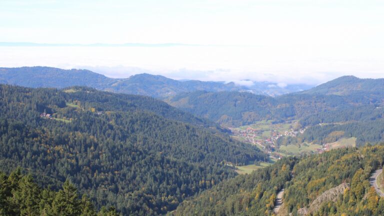 Dieses Bild zeigt eine Webcam-Aufnahme vom Achertal, aufgenommen am Mittwoch, den 08.10.2025 um 11:50 Uhr. Die Temperatur betrug 17.9°C.