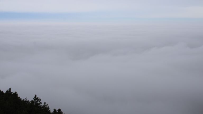 Dieses Bild zeigt eine Webcam-Aufnahme vom Achertal, aufgenommen am Sonntag, den 25.01.2026 um 11:30 Uhr. Die Temperatur betrug 2.4°C.