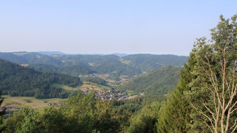 Dieses Bild zeigt eine Webcam-Aufnahme vom Achertal, aufgenommen am Donnerstag, den 30.07.2026 um 08:40 Uhr. Die Temperatur betrug 30.9°C.