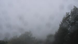 Dieses Bild zeigt eine Webcam-Aufnahme vom Achertal, aufgenommen am Donnerstag, den 08.10.2026 um 10:00 Uhr. Die Temperatur betrug 11.9°C.