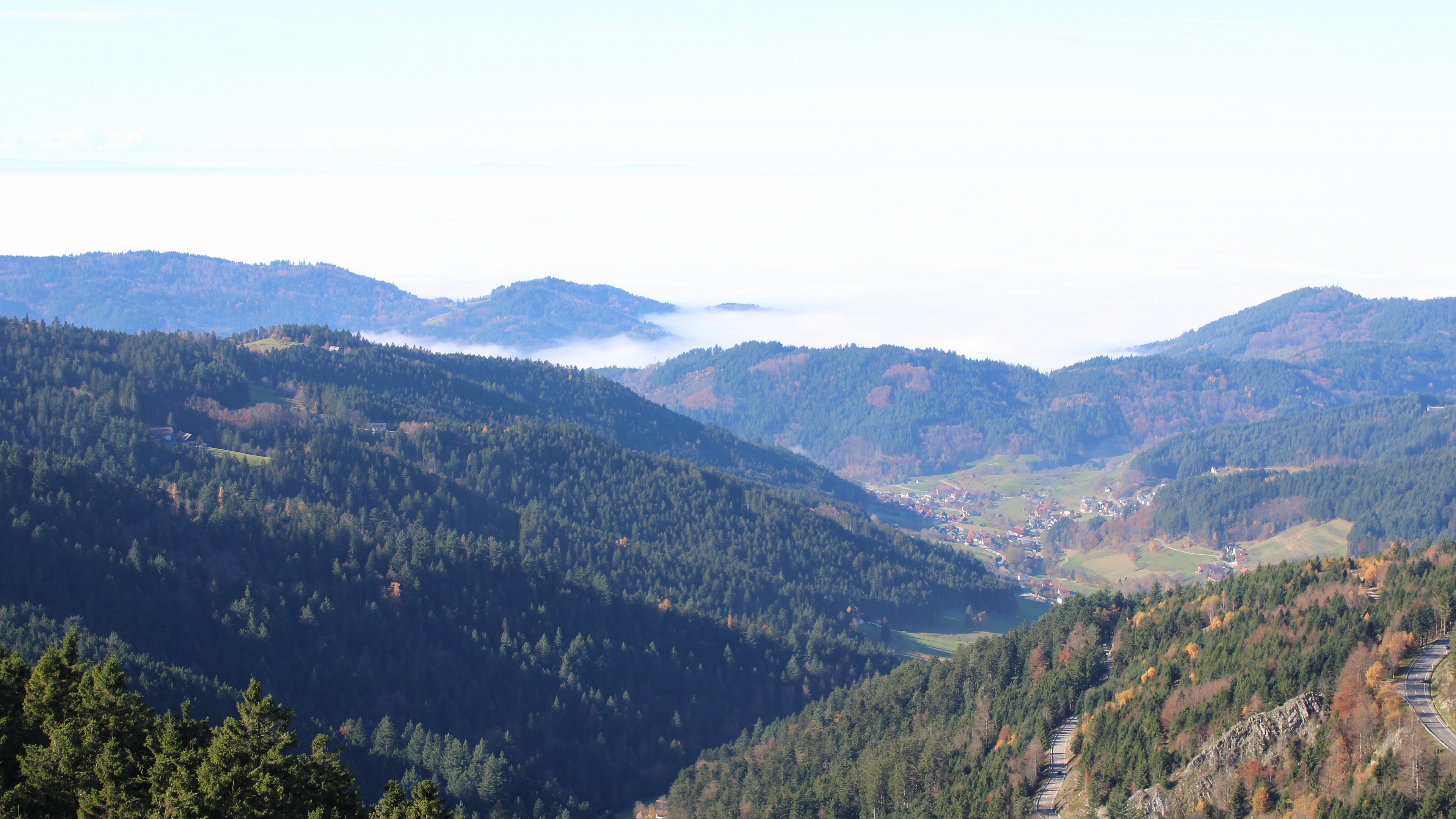 Zum Fotoarchiv vom Samstag, 8. November 2025