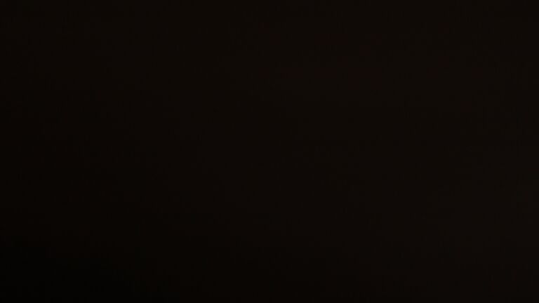 Dieses Bild zeigt eine Webcam-Aufnahme vom Achertal, aufgenommen am Dienstag, den 25.11.2025 um 21:00 Uhr. Die Temperatur betrug -0.1°C.