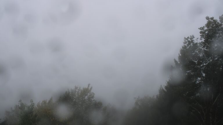 Dieses Bild zeigt eine Webcam-Aufnahme vom Achertal, aufgenommen am Mittwoch, den 21.10.2026 um 14:00 Uhr. Die Temperatur betrug 7°C.