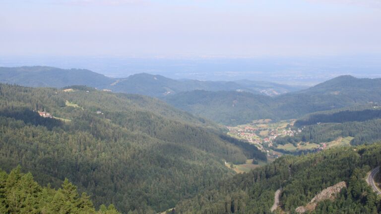 Dieses Bild zeigt eine Webcam-Aufnahme vom Achertal, aufgenommen am Freitag, den 11.07.2025 um 08:50 Uhr. Die Temperatur betrug 17.5°C.