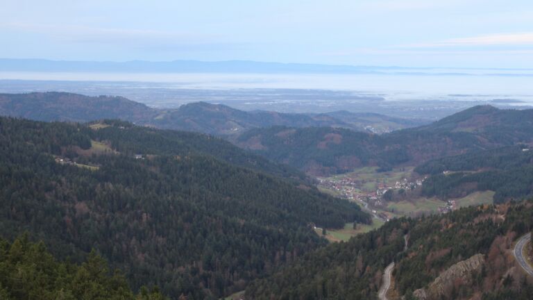 Dieses Bild zeigt eine Webcam-Aufnahme vom Achertal, aufgenommen am Sonntag, den 16.11.2025 um 08:00 Uhr. Die Temperatur betrug 8.2°C.