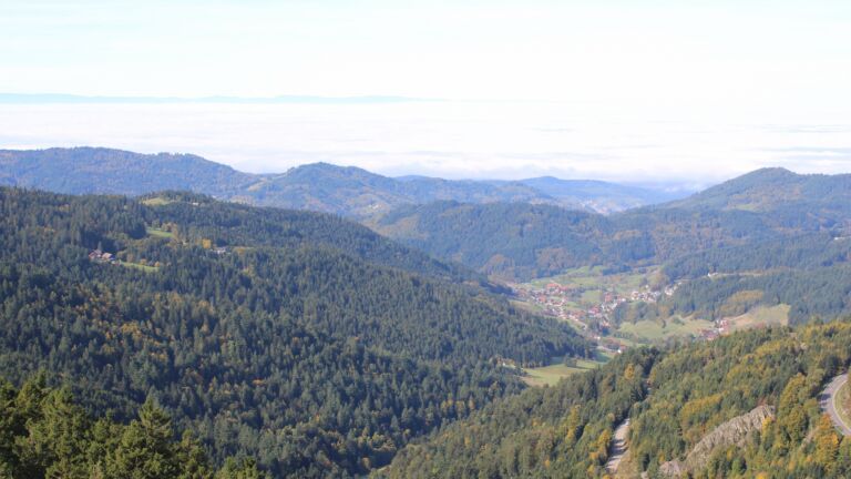 Dieses Bild zeigt eine Webcam-Aufnahme vom Achertal, aufgenommen am Mittwoch, den 08.10.2025 um 11:30 Uhr. Die Temperatur betrug 15.9°C.