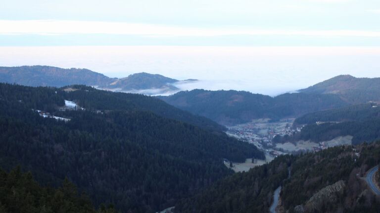 Dieses Bild zeigt eine Webcam-Aufnahme vom Achertal, aufgenommen am Donnerstag, den 05.02.2026 um 08:30 Uhr. Die Temperatur betrug 3.2°C.