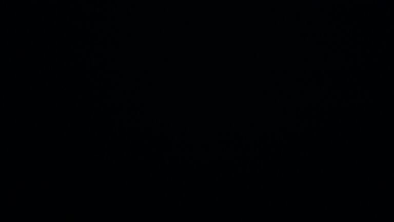 Dieses Bild zeigt eine Webcam-Aufnahme vom Achertal, aufgenommen am Mittwoch, den 16.07.2025 um 23:00 Uhr. Die Temperatur betrug 11°C.