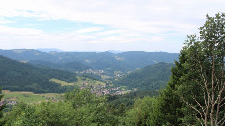 Dieses Bild zeigt eine Webcam-Aufnahme vom Achertal, aufgenommen am Mittwoch, den 08.07.2026 um 11:50 Uhr. Die Temperatur betrug 22.8°C.