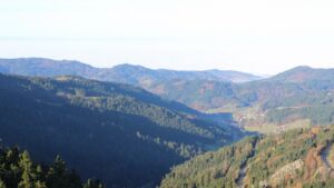 Dieses Bild zeigt eine Webcam-Aufnahme vom Achertal, aufgenommen am Montag, den 10.11.2025 um 09:40 Uhr. Die Temperatur betrug 4.7°C.