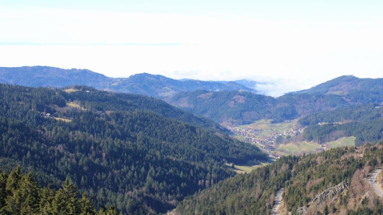 Dieses Bild zeigt eine Webcam-Aufnahme vom Achertal, aufgenommen am Mittwoch, den 25.02.2026 um 12:50 Uhr. Die Temperatur betrug 11.9°C.