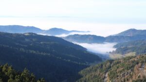 Dieses Bild zeigt eine Webcam-Aufnahme vom Achertal, aufgenommen am Sonntag, den 21.12.2025 um 13:20 Uhr. Die Temperatur betrug 7.6°C.