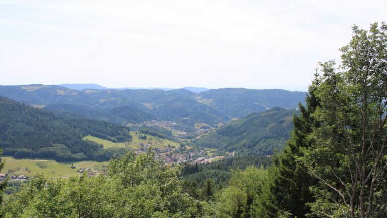 Dieses Bild zeigt eine Webcam-Aufnahme vom Achertal, aufgenommen am Mittwoch, den 22.07.2026 um 14:30 Uhr. Die Temperatur betrug 24.6°C.