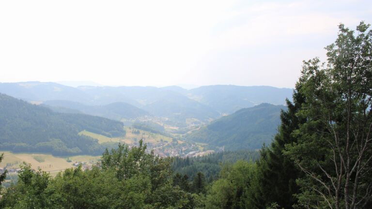 Dieses Bild zeigt eine Webcam-Aufnahme vom Achertal, aufgenommen am Donnerstag, den 30.07.2026 um 14:50 Uhr. Die Temperatur betrug 37.2°C.