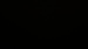 Dieses Bild zeigt eine Webcam-Aufnahme vom Achertal, aufgenommen am Donnerstag, den 12.02.2026 um 03:30 Uhr. Die Temperatur betrug 3.6°C.