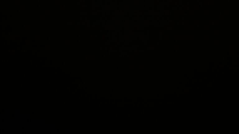 Dieses Bild zeigt eine Webcam-Aufnahme vom Achertal, aufgenommen am Donnerstag, den 12.02.2026 um 03:30 Uhr. Die Temperatur betrug 3.6°C.