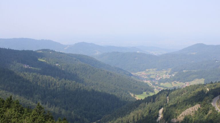 Dieses Bild zeigt eine Webcam-Aufnahme vom Achertal, aufgenommen am Freitag, den 15.08.2025 um 11:30 Uhr. Die Temperatur betrug 27.2°C.