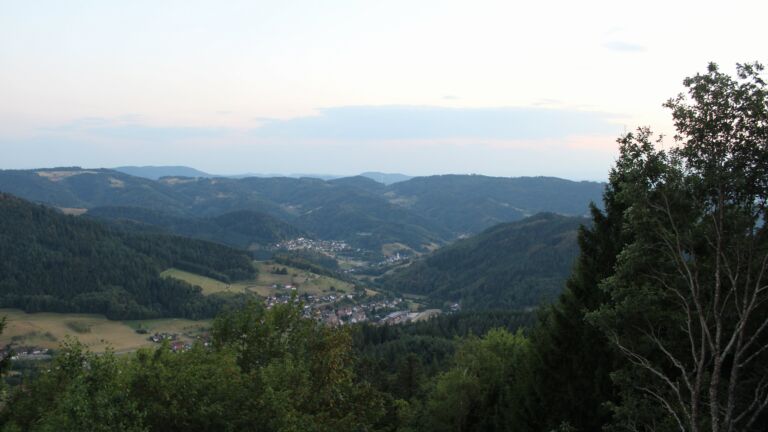 Dieses Bild zeigt eine Webcam-Aufnahme vom Achertal, aufgenommen am Freitag, den 14.08.2026 um 20:50 Uhr. Die Temperatur betrug 29.3°C.