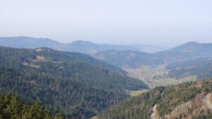 Dieses Bild zeigt eine Webcam-Aufnahme vom Achertal, aufgenommen am Samstag, den 07.03.2026 um 11:30 Uhr. Die Temperatur betrug 14°C.