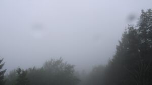 Dieses Bild zeigt eine Webcam-Aufnahme vom Achertal, aufgenommen am Mittwoch, den 01.07.2026 um 09:00 Uhr. Die Temperatur betrug 16.9°C.